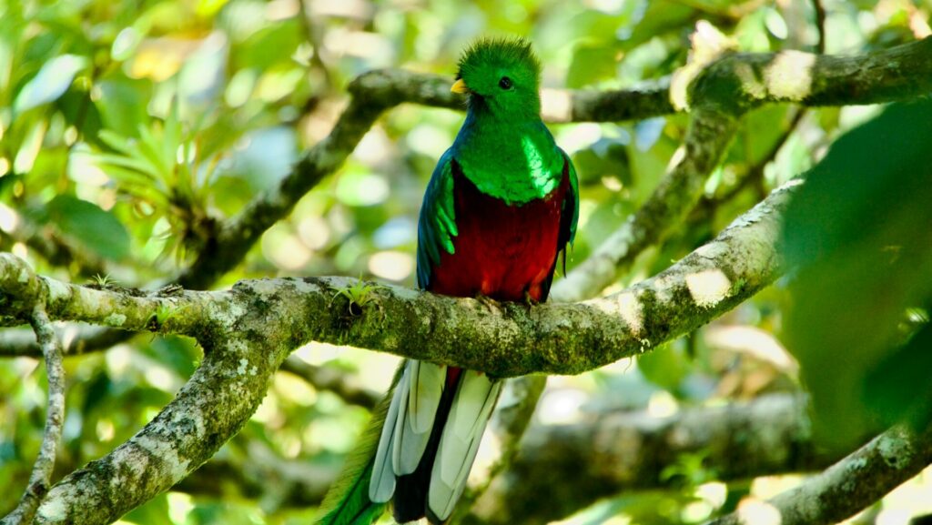 Event Travel Sterrebeek Costa Rica