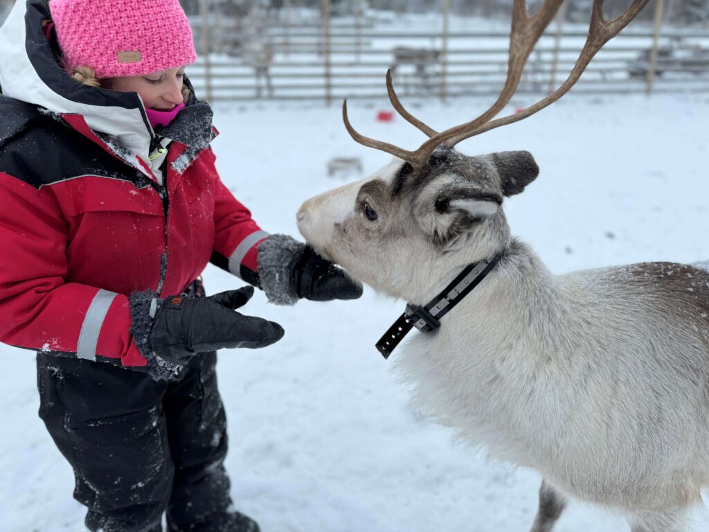 Event Travel Sterrebeek Begeleide Groepsreis Lapland